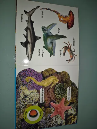 100 palabras de animales