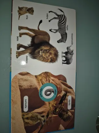 100 palabras de animales