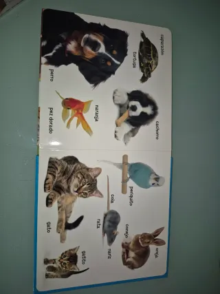 100 palabras de animales