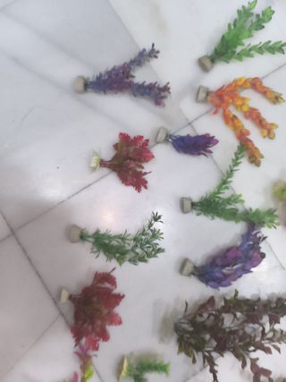 Plantas Decoración Acuario Plástico