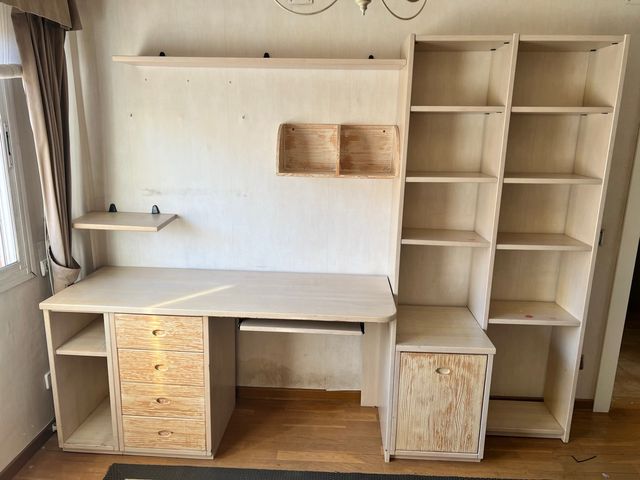 Escritorio y librería infantil