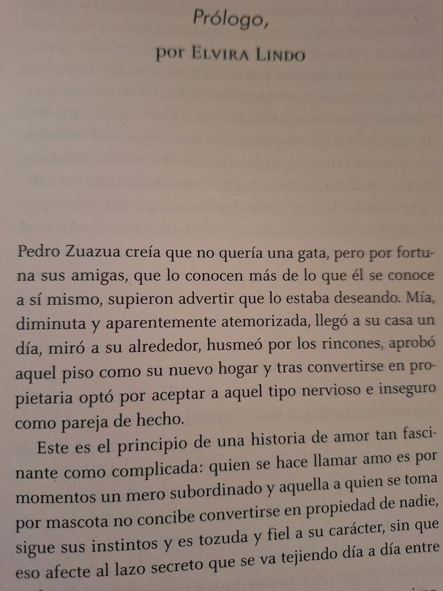 En mi casa no entra un gato: Diario de un gatun...