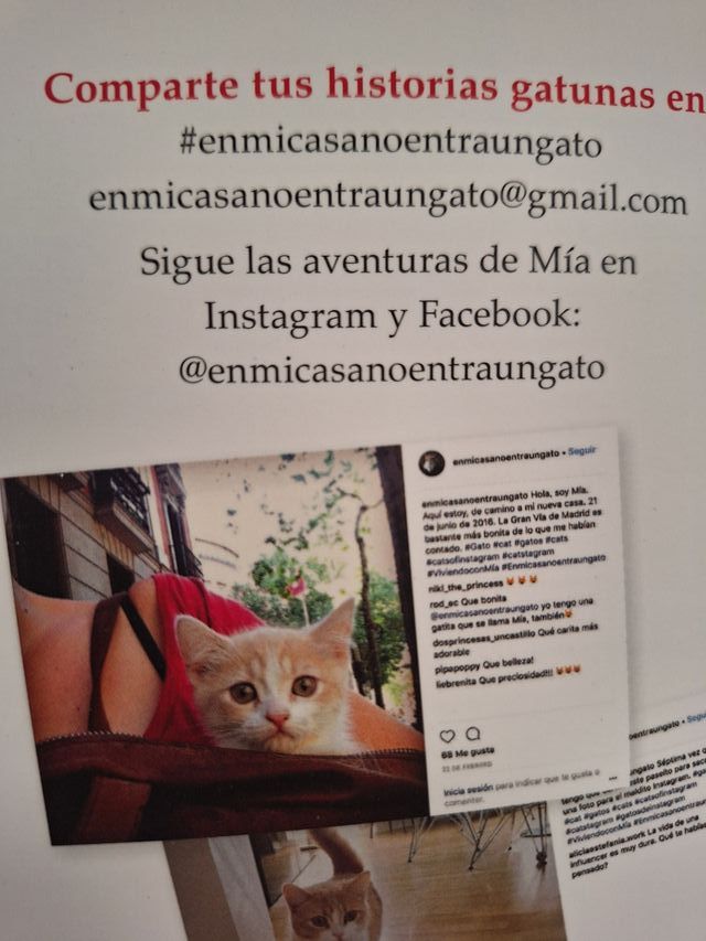 En mi casa no entra un gato: Diario de un gatun...