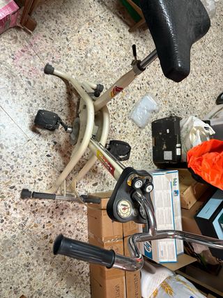 Bicicleta estática Torrot