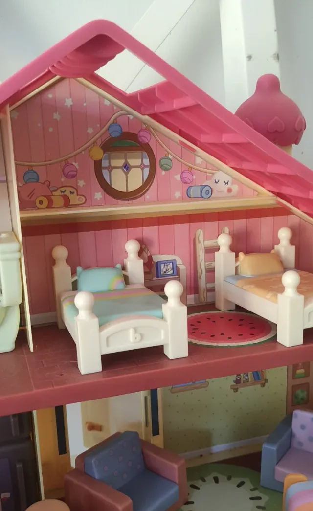 Casa Bluey + Familia + Coche + Accesorios