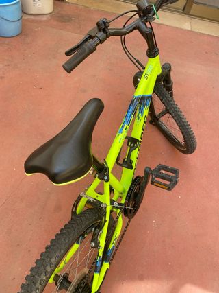 Bicicleta Infantil Aro 20