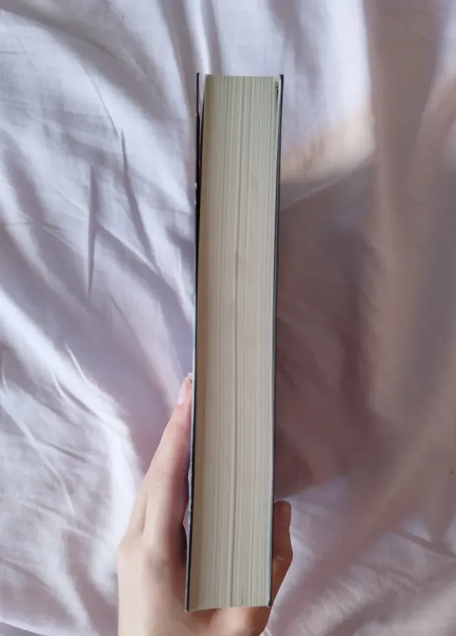 Libro Nunca olvidan (Mentes poderosas 2)