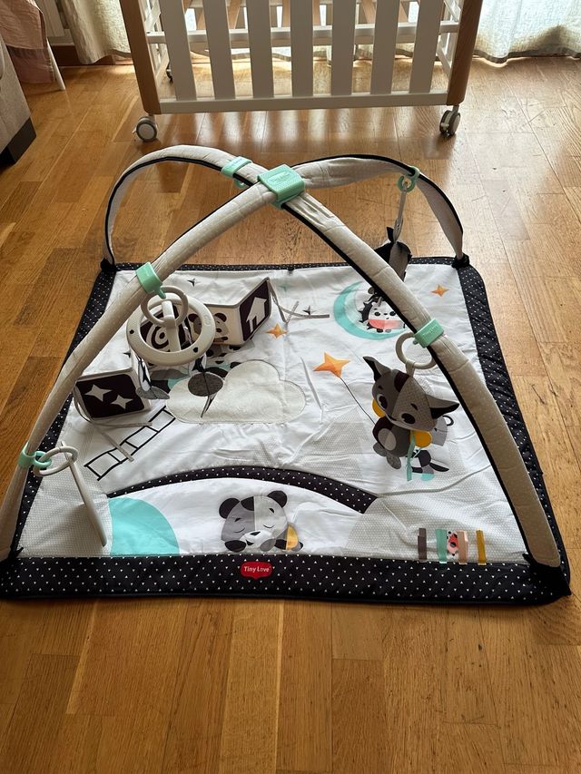 Gimnasio infantil Tiny Love