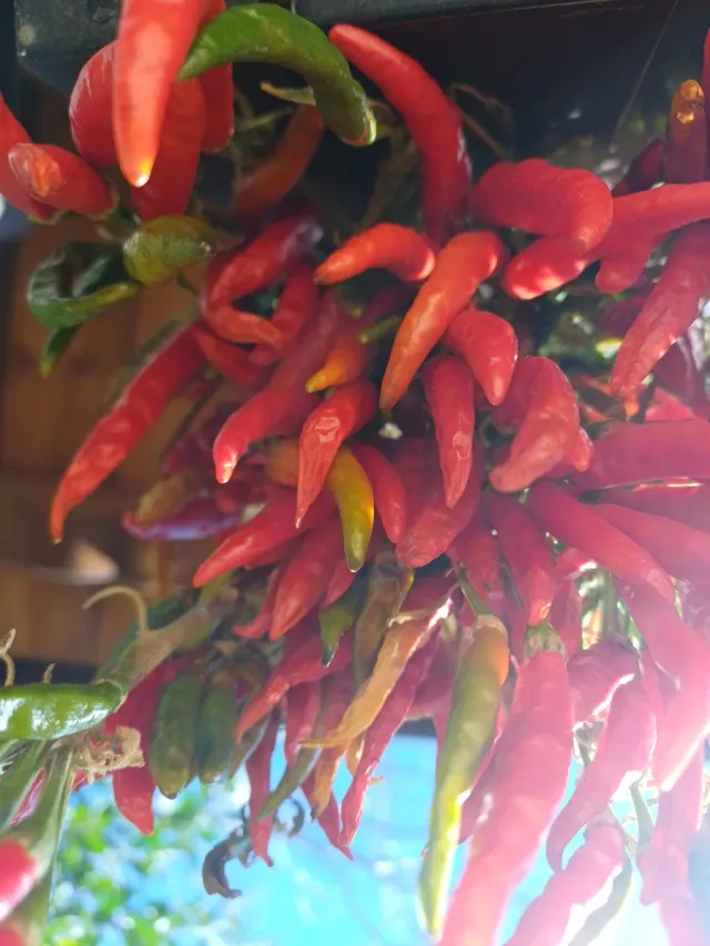 Peperoncini freschi misti