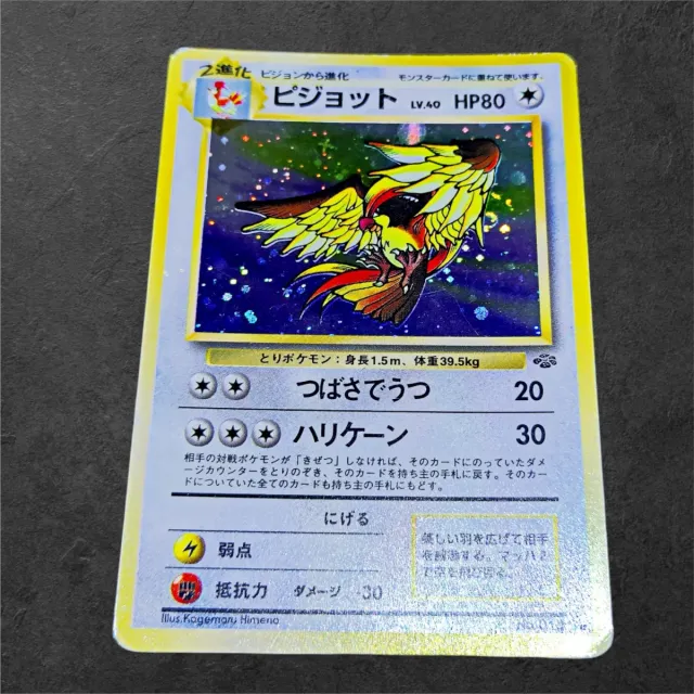 Pidgeot Holo Jungle Vintage Pokemon Carta