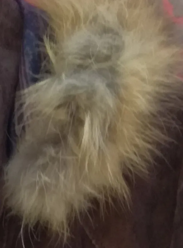 ABRIGO DE ANTE OVINO MARRÓN CON CAPUCHA CON PELO