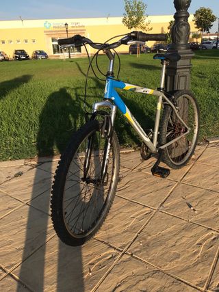 Bicicleta de Montaña