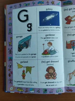 MI PRIMER DICCIONARIO BILINGUE ILUSTRADO INGLES