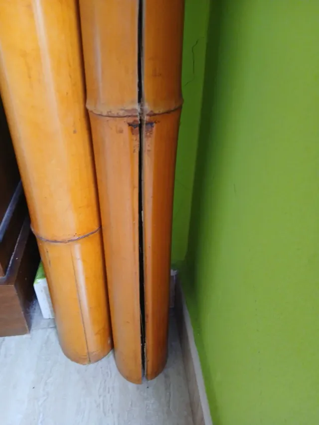 Bambú natural decorativo