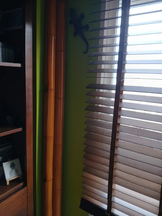 Bambú natural decorativo