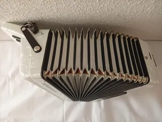 Acordeón Hohner Concerto III S 72 bajos
