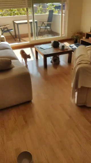 Mesa y estantería rústica