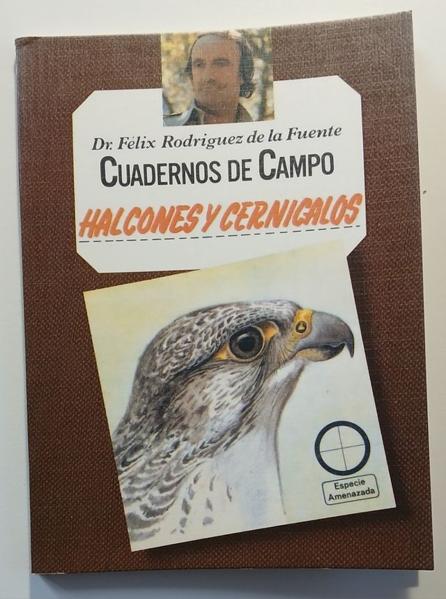 Halcones y cernícalos