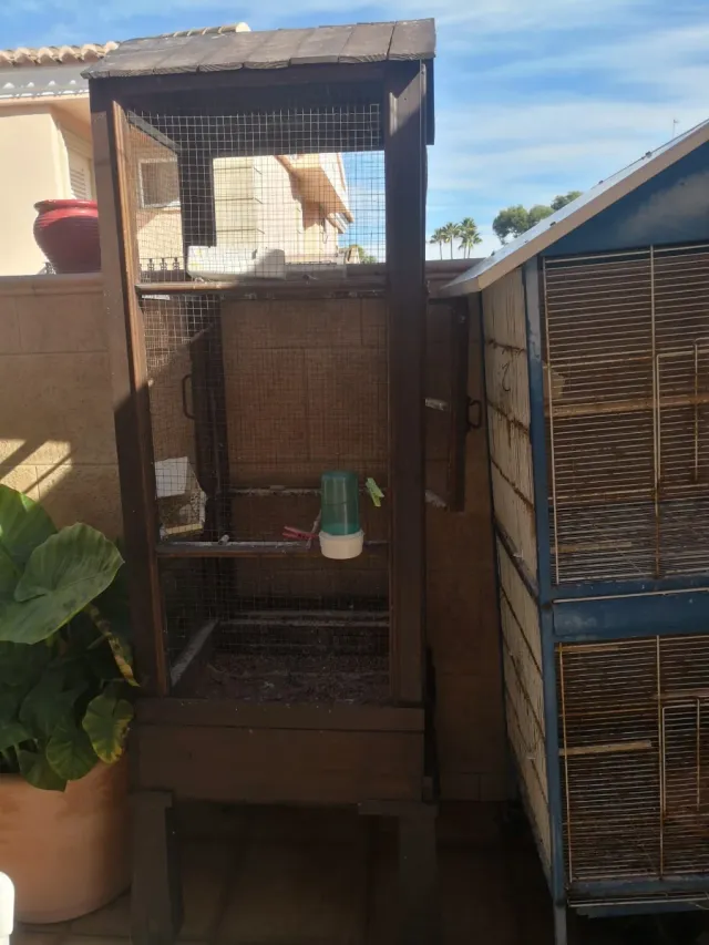 Las dos voladeras a 100€