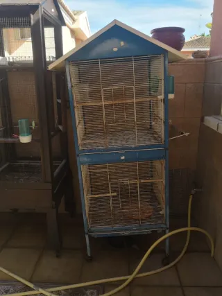 Las dos voladeras a  40.00