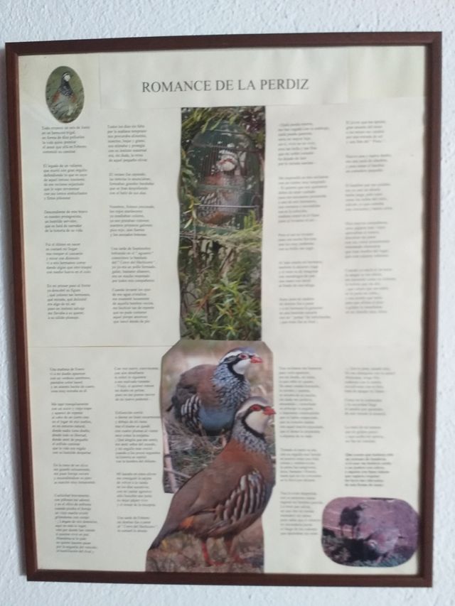 Cuadro Romance de la Perdiz