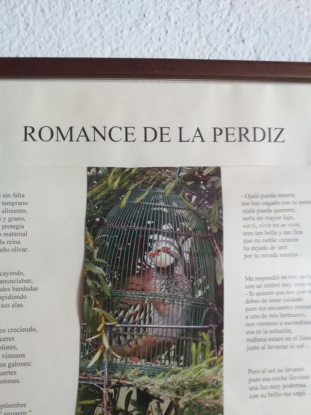 Cuadro Romance de la Perdiz