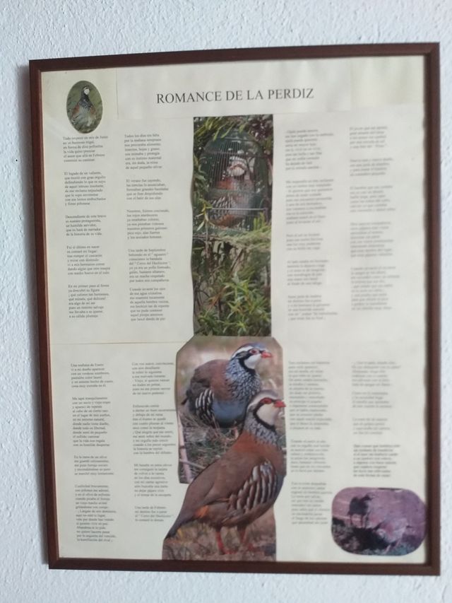 Cuadro Romance de la Perdiz