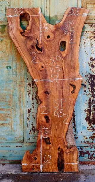 Asse di olivastro selvatico Salentino Denominata 2