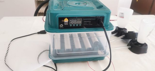 Incubadora para 12 pollitos