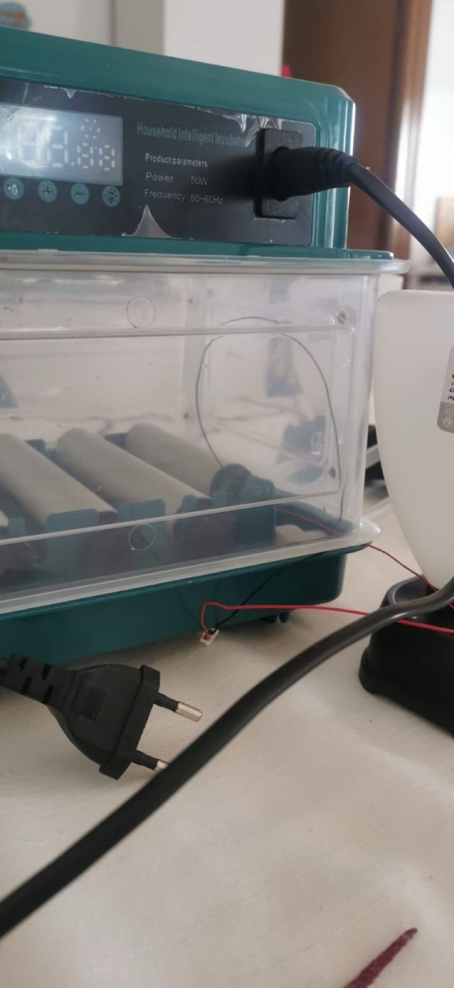 Incubadora para 12 pollitos