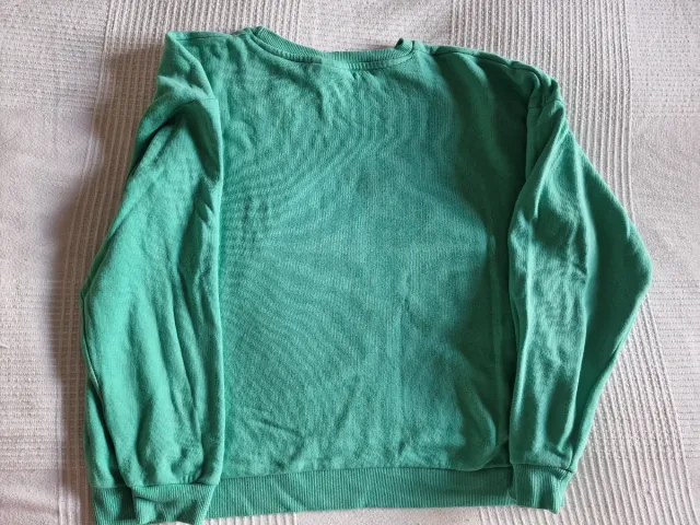 Sudadera Piolín Tweety Looney Tunes Verde