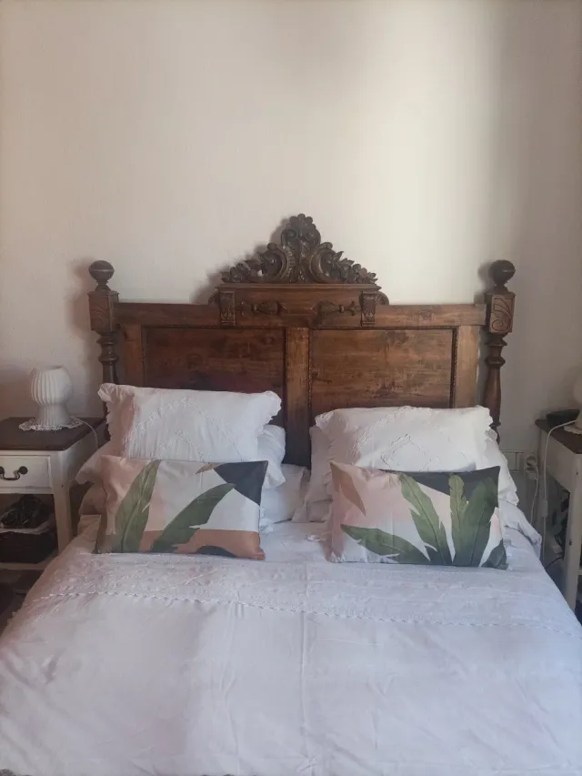 Fodere decorative verdi e rosa