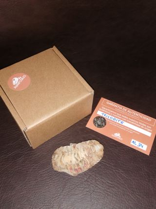 Fósil Trilobites Ref. 34