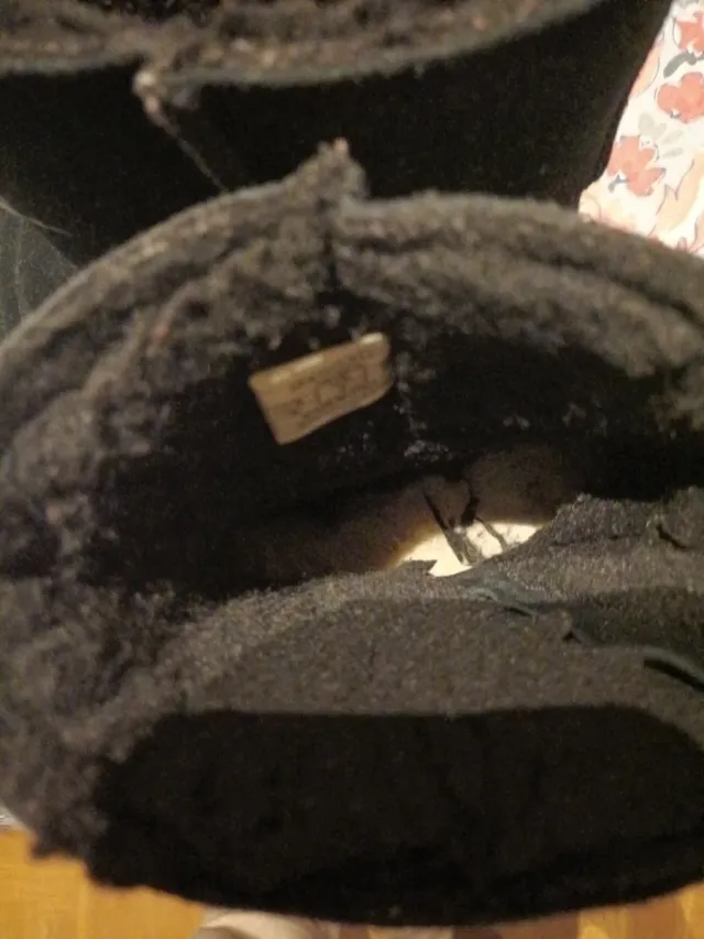 Botines Gooce Negro Talla 37