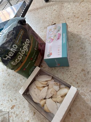 Jaula para pájaros y accesorios