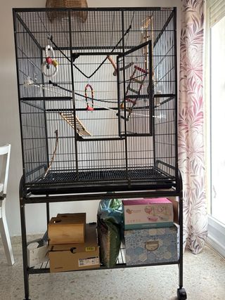 Jaula para pájaros y accesorios