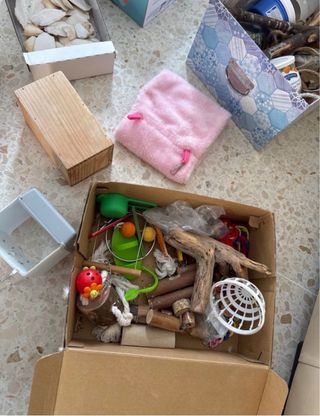 Jaula para pájaros y accesorios