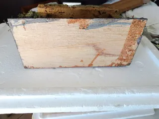 Capanna presepe in sughero.