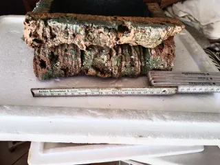 Capanna presepe in sughero.