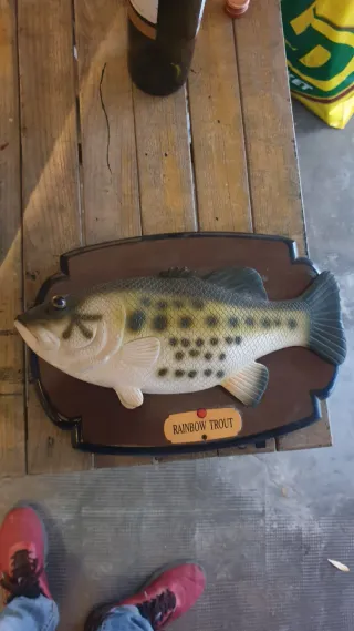 Pesce parlante Rainbow Trout