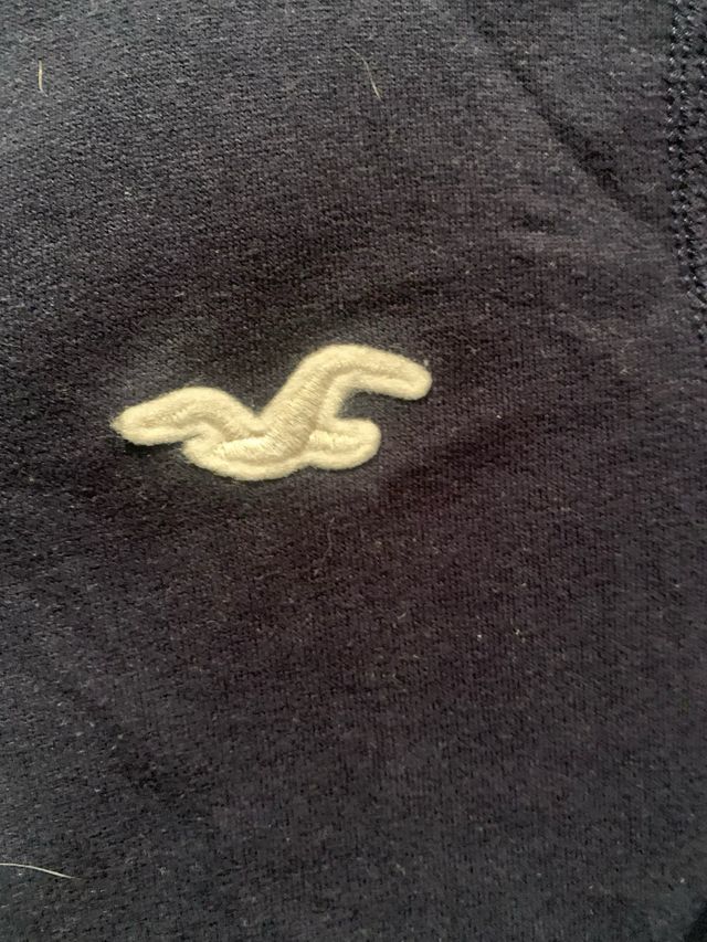 Chaqueta Hollister capucha botones