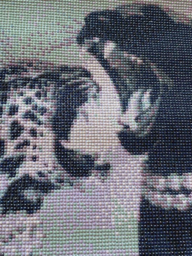 Cuadro Diamantes Pantera y Leopardo Hecho a Mano