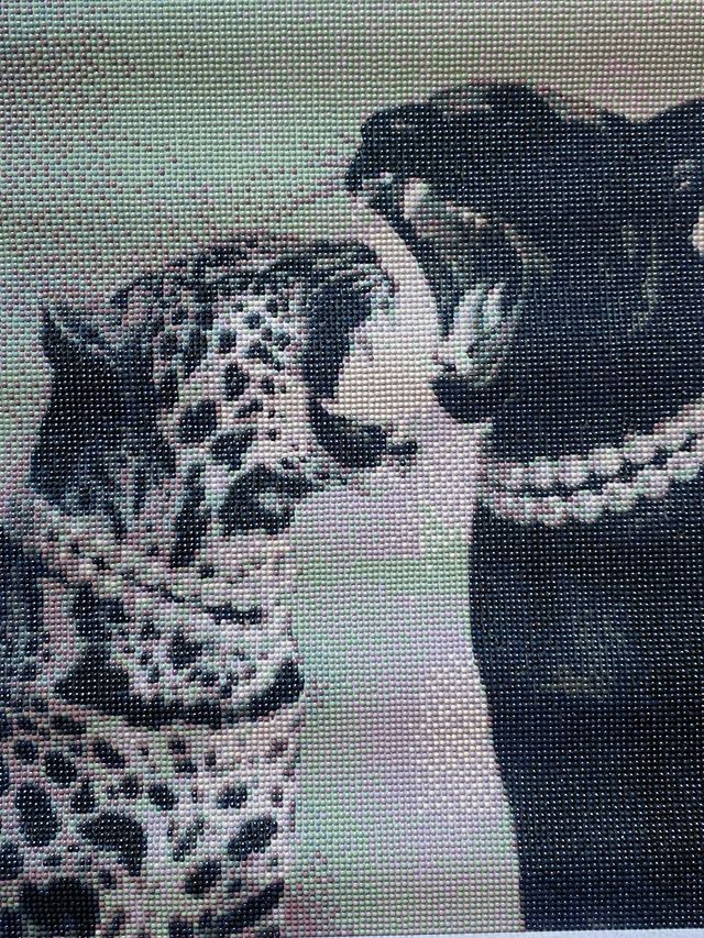 Cuadro Diamantes Pantera y Leopardo Hecho a Mano