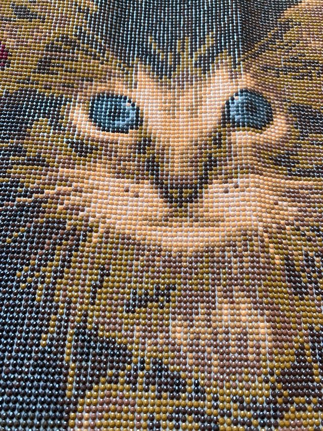 Cuadro Gato con Flores