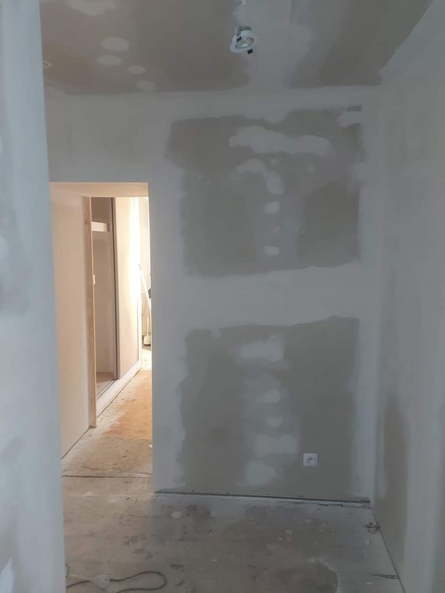 Pintura Profesional Barato