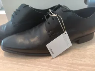 Zapatos Geox Negros Hombre