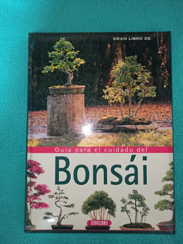 Gran Libro Para El Cuidado del Bonsai (Spanish ...