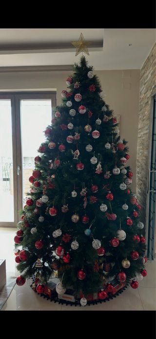 Albero di Natale 240cm 2 anni di vita.