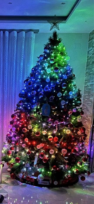 Albero di Natale 240cm 2 anni di vita.