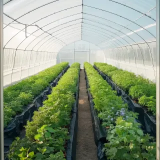 Telo di Plastica 0,15 mm, 3,05 m x 30,48 m